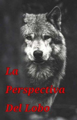 la Perspectiva del Lobo