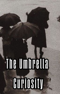 the Umbrella Curiosity.