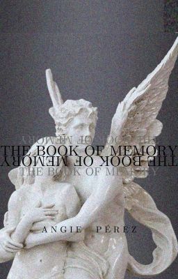 the Book of Memory