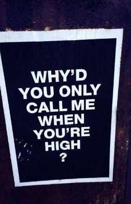 Why'd You Only Call Me When You're High? - Leovil