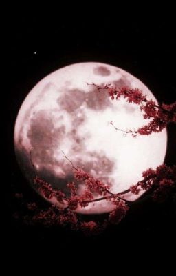 el Reclamo de la Luna || os Yoonmin