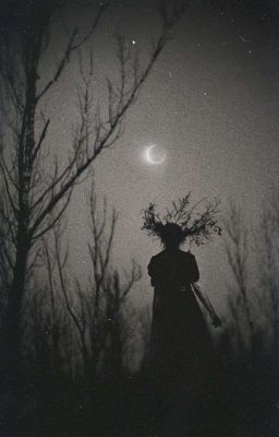 Dark Moonlithg