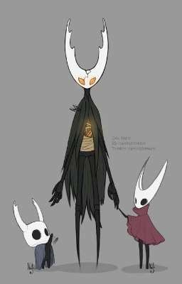 Hollow Knight Is A Type Of / Oneshot