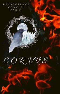 Corvus.