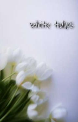 White Tulips --/ Maxnat