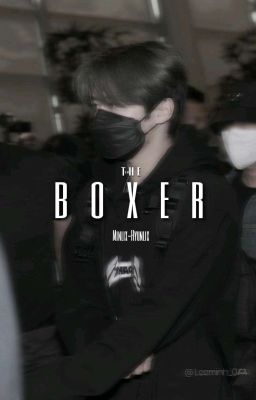 Boxer ‹minlix-hyunlix›