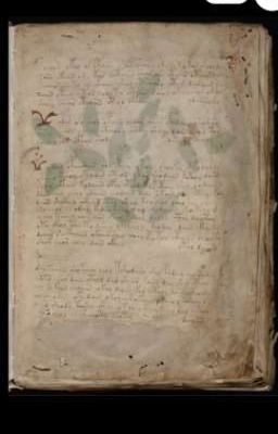 Diario del Manuscrito Voynich