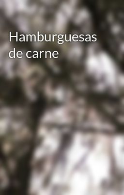 Hamburguesas de Carne