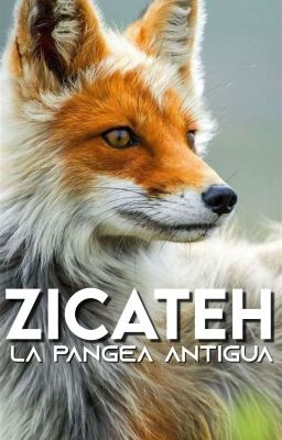 Zicateh, la Pangea Antigua