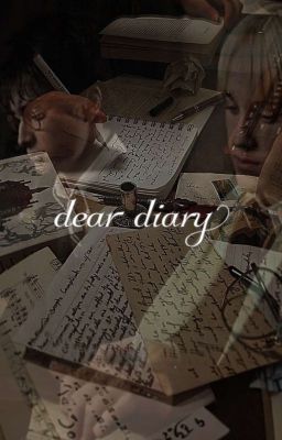 Querido Diario 
