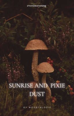Sunrise and Pixie Dust › Traducción
