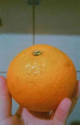 Naranjas y Mandarinas (dekubaku)