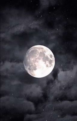 la Noche, la Luna..