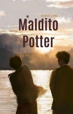 Maldito Potter || Jegulus