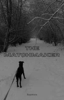 the Matchmaker (wolfstar)