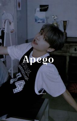 Apego 𖥔 Wonhui