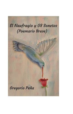 el Naufragio y 08 Sonetos ( Poemari...