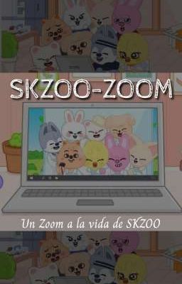 Skzoo-zoom ↺ꜱᴛʀᴀʏ ᴋɪᴅꜱ