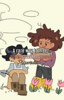 a Rare way to Meet. || Marcanne.