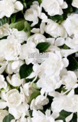 Gardenias -reddie-