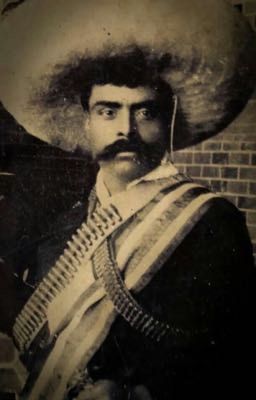 Emiliano Zapata x tn~
