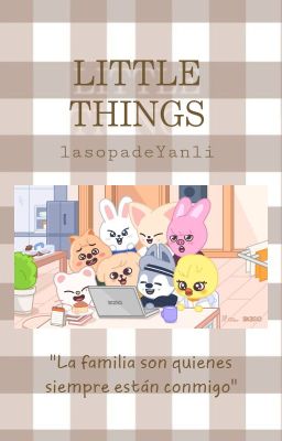 🌸 ❛ Little Things ༉‧₊˚✧ | Skzoo