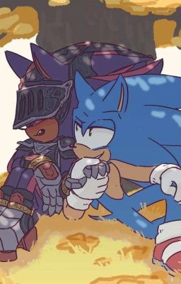 the Rivalry is Gone [shadow x Sonic]