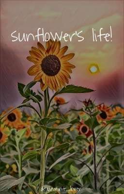 Sunflower's Life! | Nohyuck