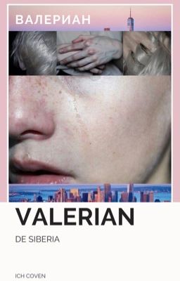 Valerian de Siberia