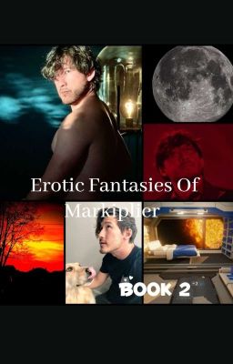Erotic Fantasies of Markiplier Book...
