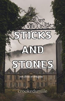 Sticks and Stones [bts Hybrids au]