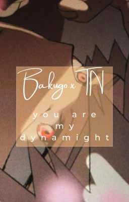 you are my Dynamight (bakugo x tn)