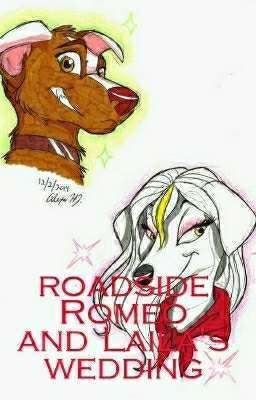 Roadside Romeo And Laila's Wedding