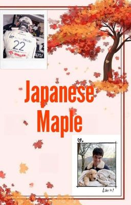 Japanese Maple 🍁