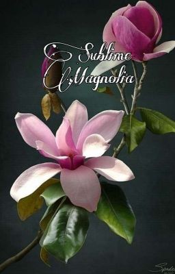 Sublime Magnolia 🌸👑 Bridgerton