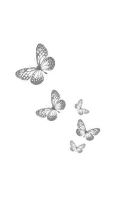 Dancing Like Butterfly Wings ⊹ Yungi