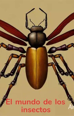 el Mundo de los Insectos