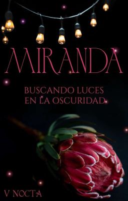 Miranda: Buscando Luces En La Oscuridad