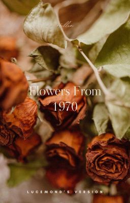 Flowers From 1970 - Lucemond