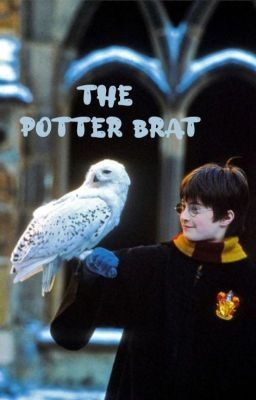 el Mocoso Potter