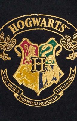 la Magia Oculta en Hogwarts: un Via...