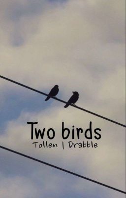 two Birds | Tollen (drabble)