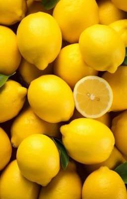 Lemon Multiversal