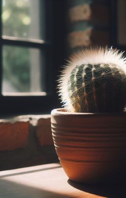 Criatura De Cactus