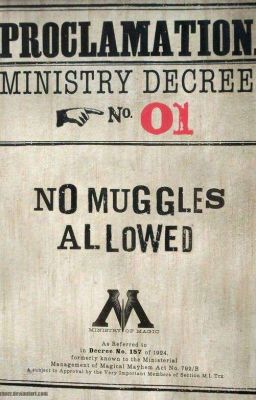 Palabras Muggles y Dónde Encontrarl...