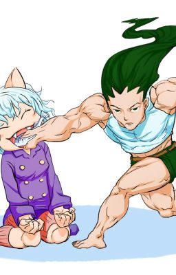 one Shots Collection Pitou x gon
