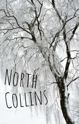 North Collins