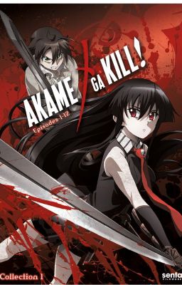 Akame ga Kill! (reescrito)