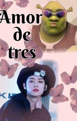 Amor de Tres// lee Know x tn x Shrek
