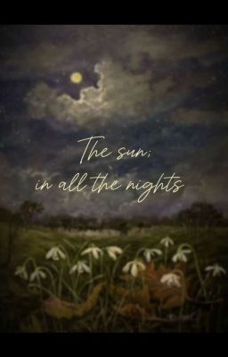 the Sun; in all the Nigths